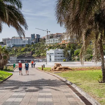 Sunset By Madeira Daire Funchal